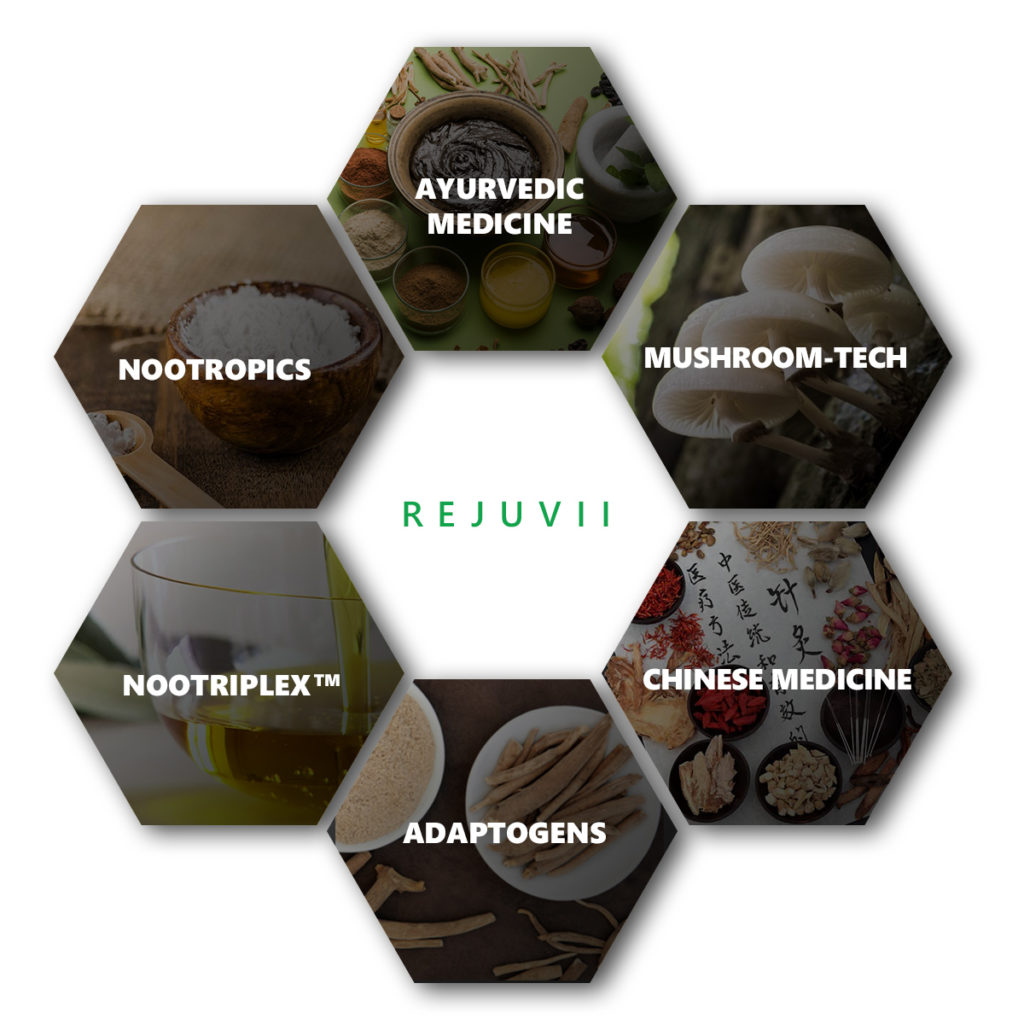 alt= "Rejuvii ingredients helps circadian rhythm disorder and makes sleep better."